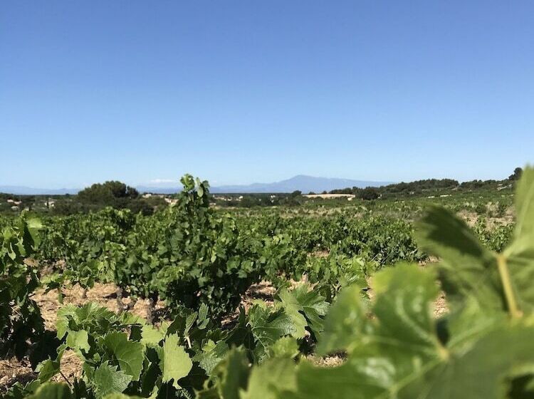 ペンション Suite Privee Tavel Le Mas De L Acacia