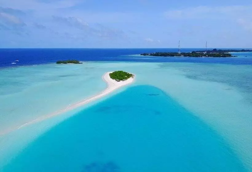 هتل Jerrys Dive Lodge