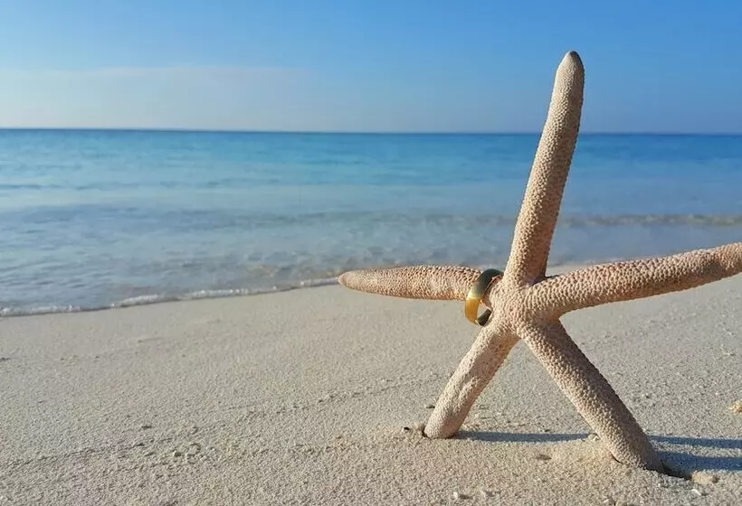 هتل Jerrys Dive Lodge