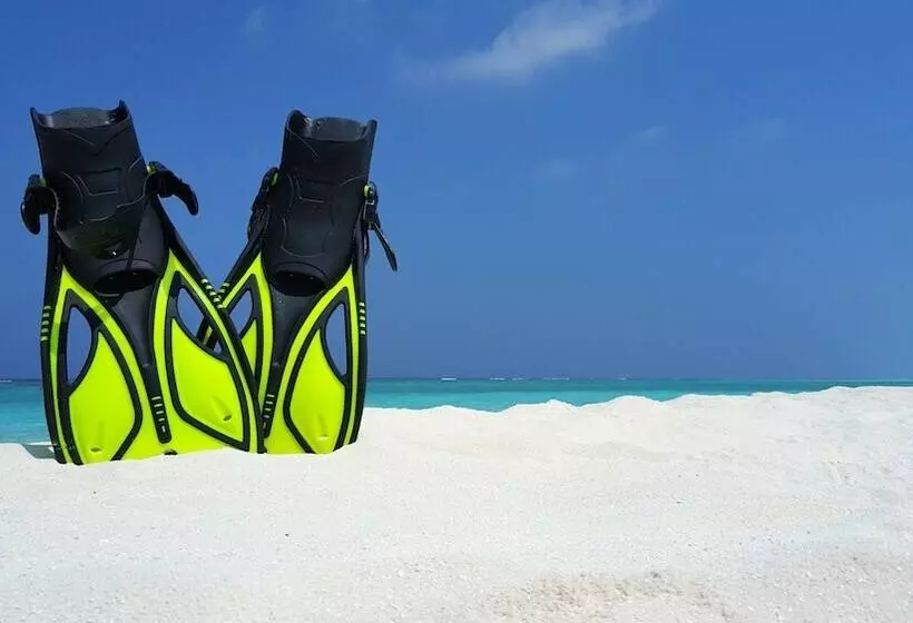 هتل Jerrys Dive Lodge