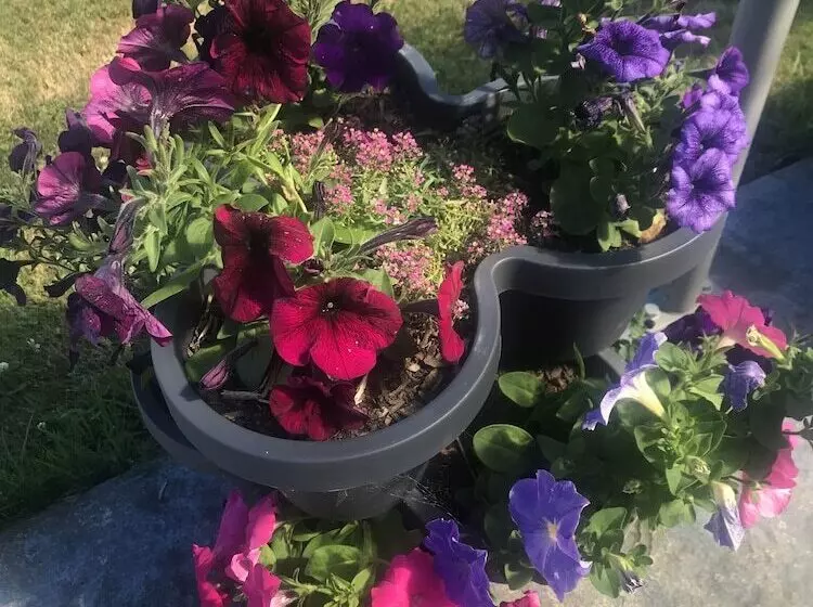 هتل Newlands Bed And Breakfast