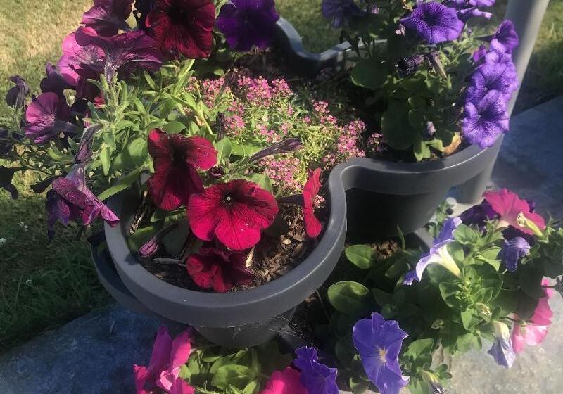 בית מלון כפרי Newlands Bed And Breakfast