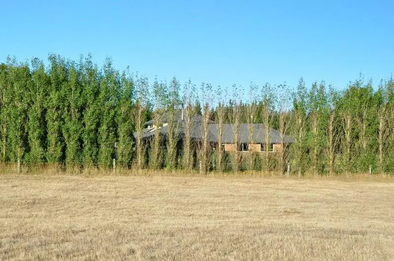 هتل Newlands Bed And Breakfast