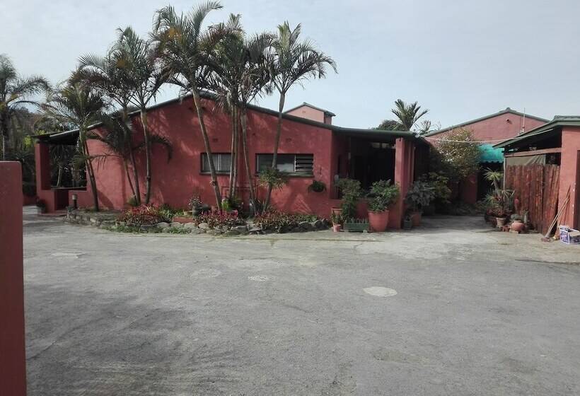 Hotel Umzimvubu Retreat Guest House