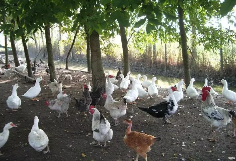 ホテル Agriturismo Antica Corte Cason