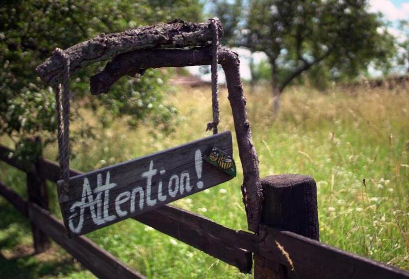 فندق Iz De Maramures Rural