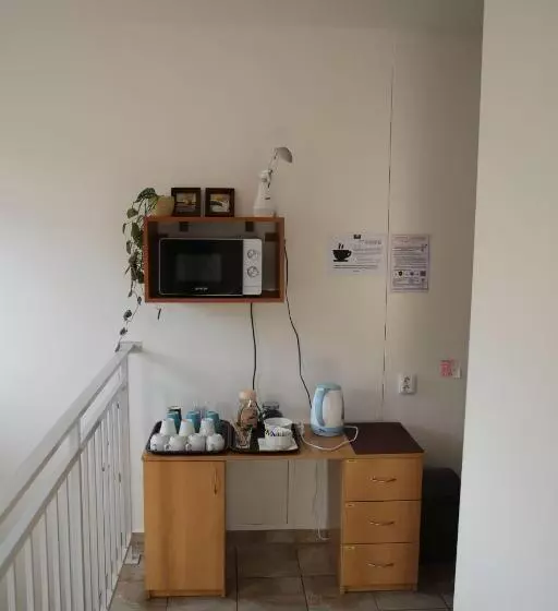 ペンション Penzion Amfík Bukovina