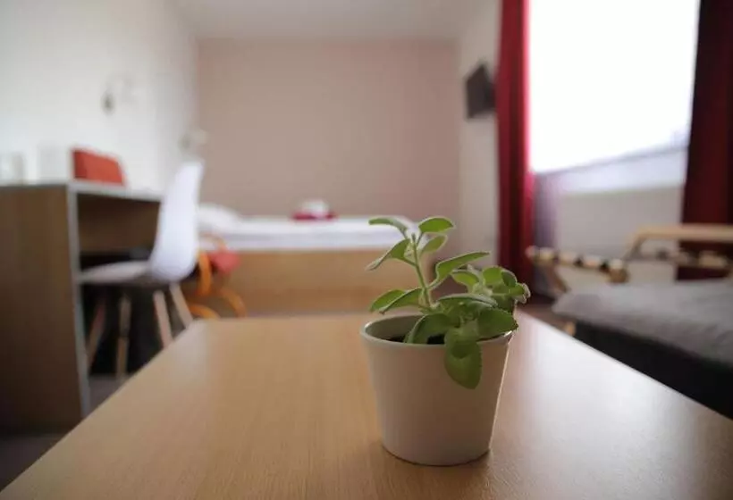 ペンション Penzion Amfík Bukovina