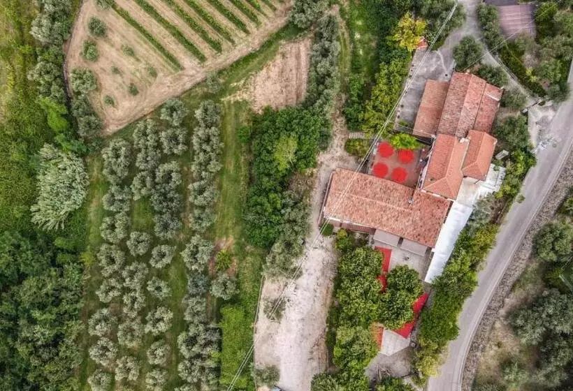 Retkeilymaja Tavern Di Arqua