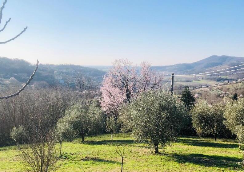 ユースホステル Tavern Di Arqua