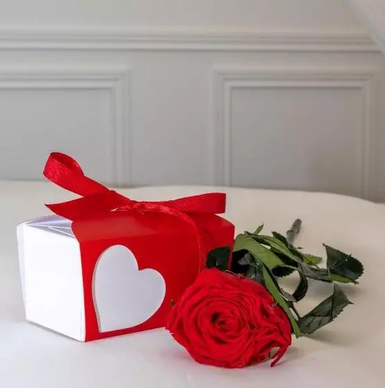 Aamiaismajoitus (B&B) La Bastide Du Rocher Boutique Hôtel & Spa