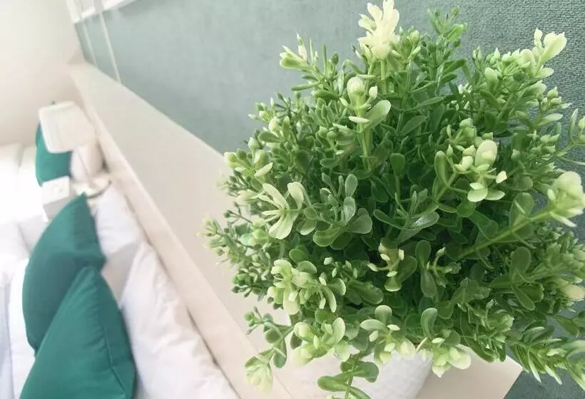 Bar & Hotel Colors Miyajima