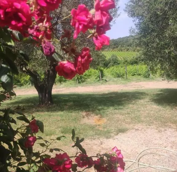 ホテル Borgo Villa A Tolli