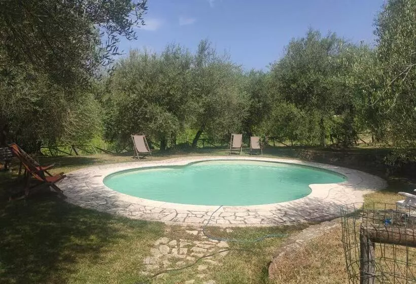 ホテル Borgo Villa A Tolli