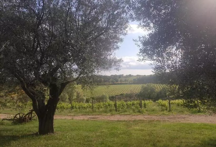 ホテル Borgo Villa A Tolli