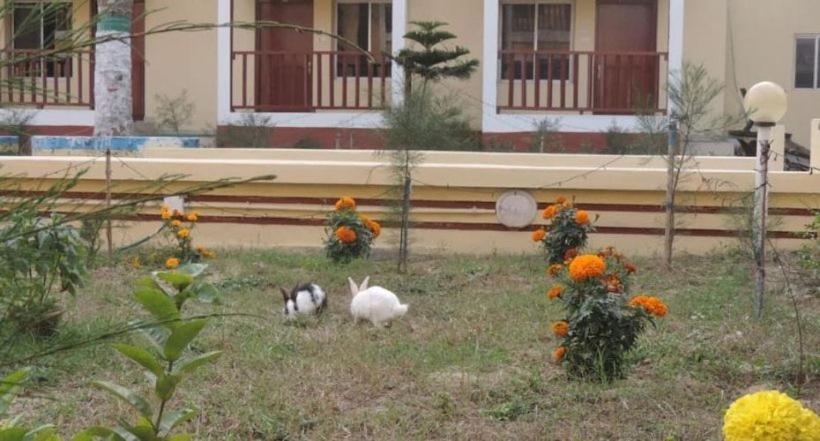 Beach Facing Resort Mandarmani