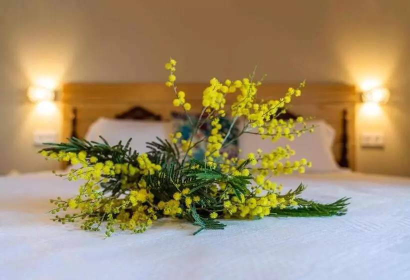 O Viso Ecovillage   Hotel Ecologico Vegano