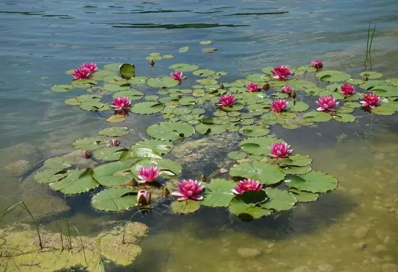 Majatalo Am Hermannsbachl