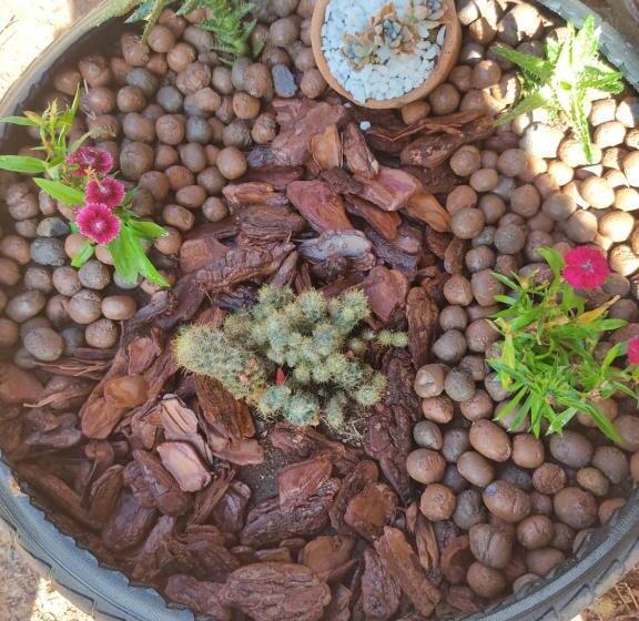 ペンション Cantinho Shirloca