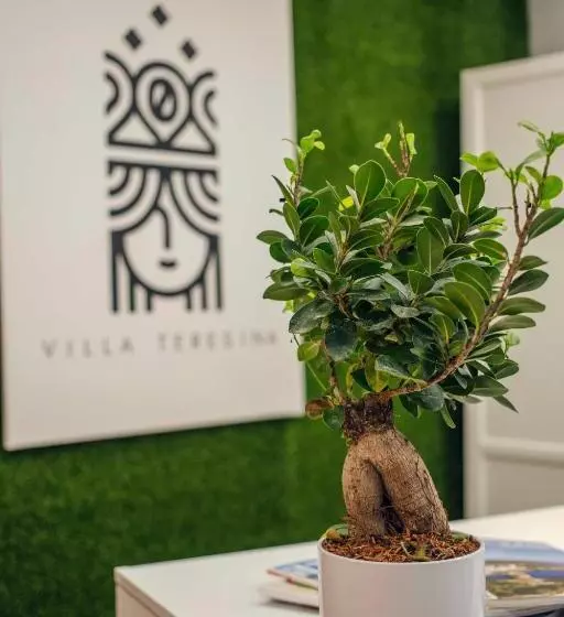 ペンション Villa Teresina