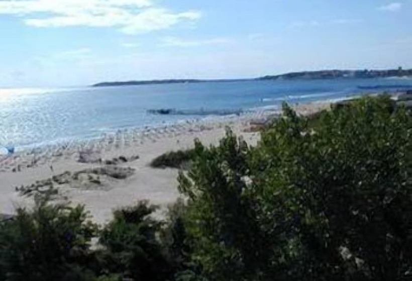 Diamond Hotel   All Inclusive