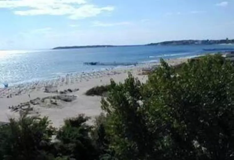 Diamond Hotel   All Inclusive