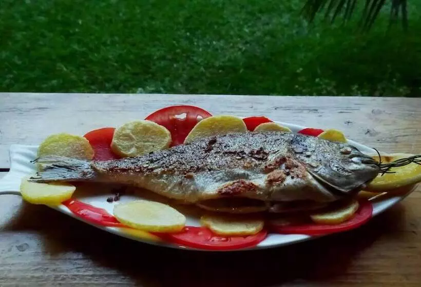 בית מלון כפרי Kruja