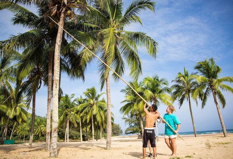 فندق Le Méridien Shimei Bay Beach Resort & Spa