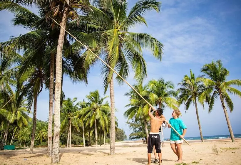 酒店 Le Méridien Shimei Bay Beach Resort & Spa