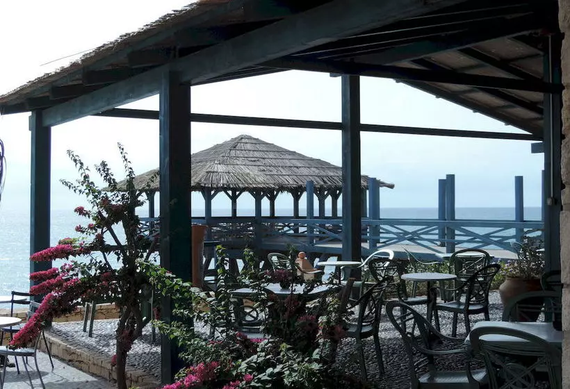 酒店 Barceló Marine Boa Vista - Adults Only