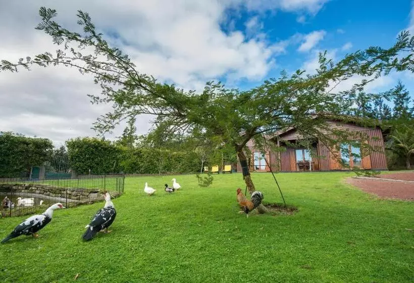 酒店 Quinta Dos Curubas