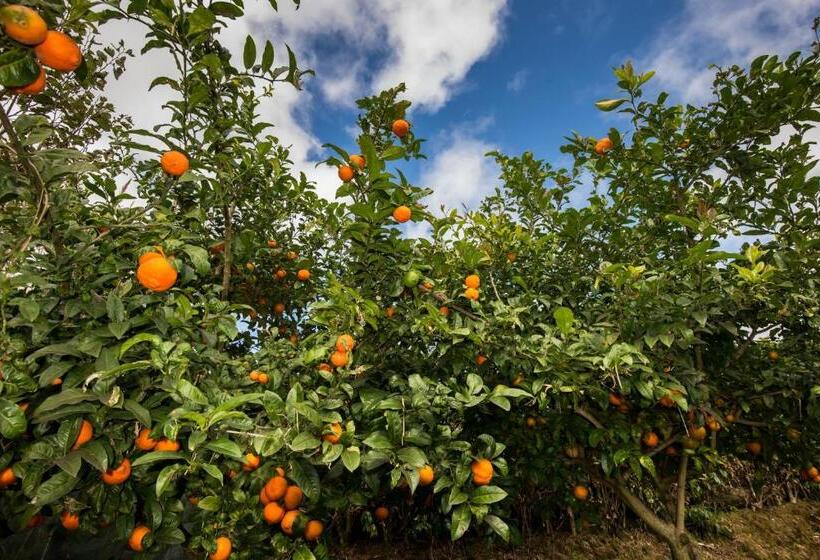 בית מלון כפרי Quinta Dos Curubas