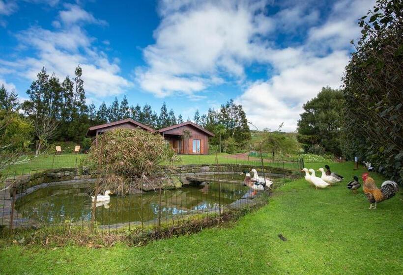 בית מלון כפרי Quinta Dos Curubas