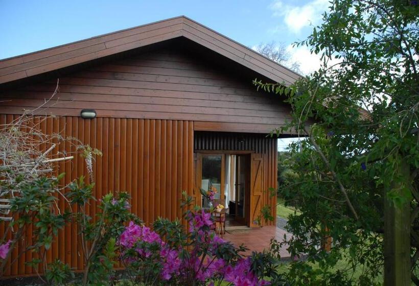 בית מלון כפרי Quinta Dos Curubas