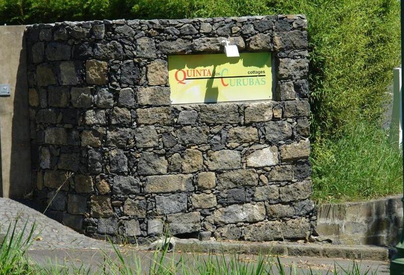 בית מלון כפרי Quinta Dos Curubas