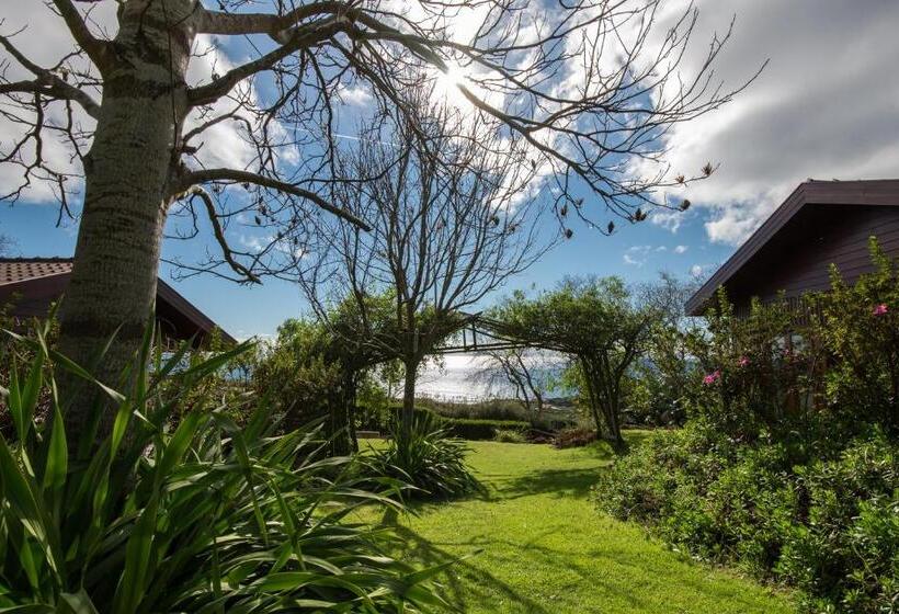 בית מלון כפרי Quinta Dos Curubas