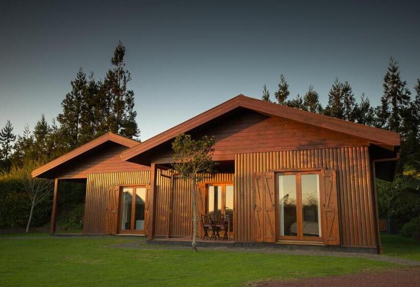 בית מלון כפרי Quinta Dos Curubas