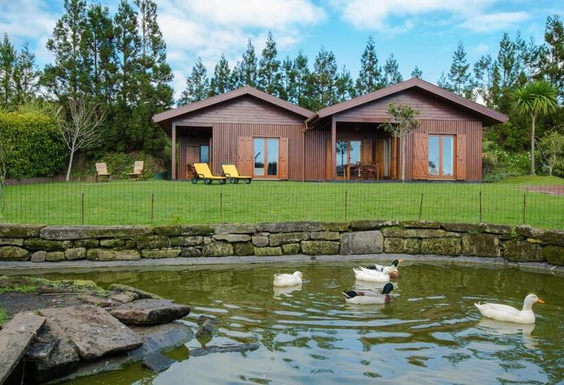 בית מלון כפרי Quinta Dos Curubas