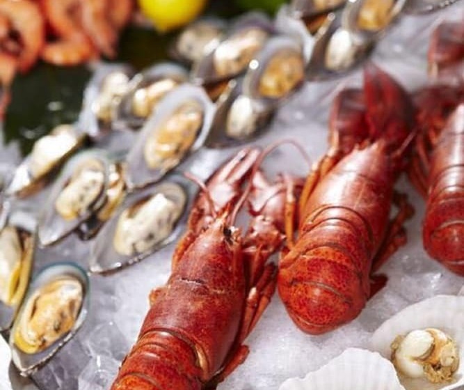 בית מלון כפרי Rich Gate