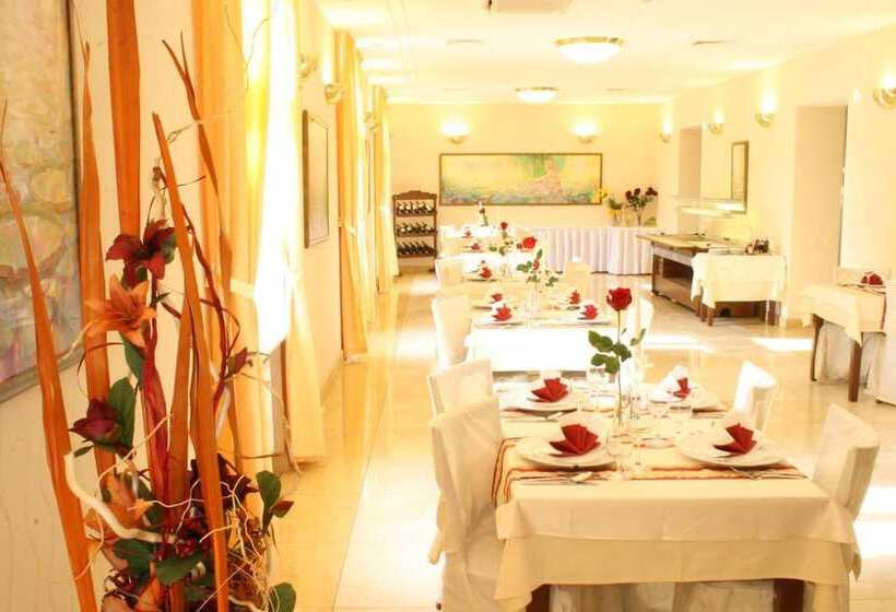 Отель Sandor Pavillon