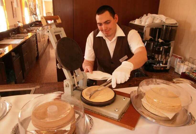 Отель Sandor Pavillon