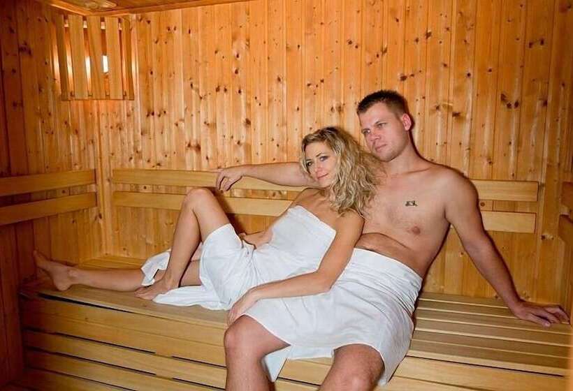 Отель Sandor Pavillon