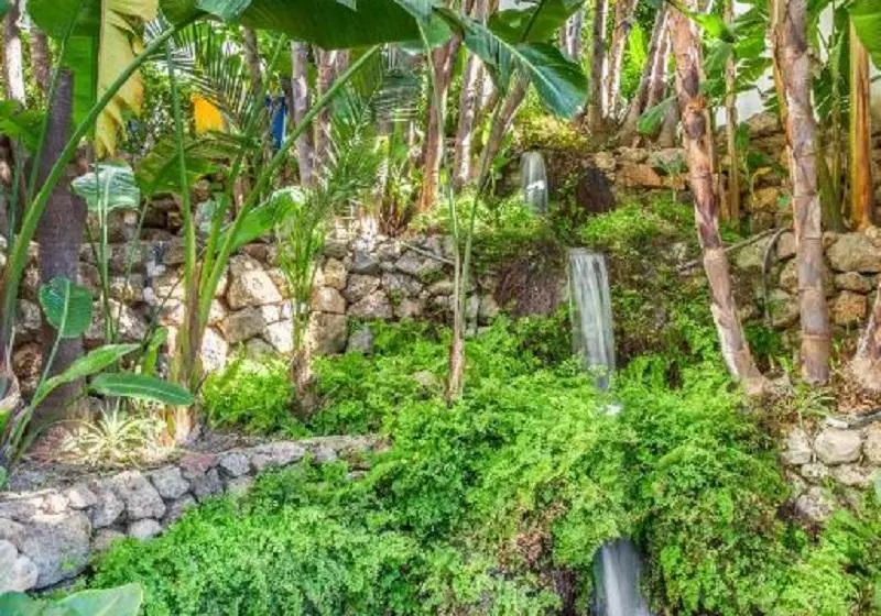 Royal Oasis Club At Pueblo Quinta