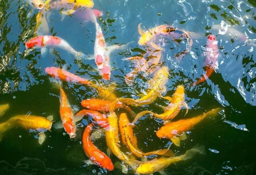 Sanya Yalong Bay Villas & Spa