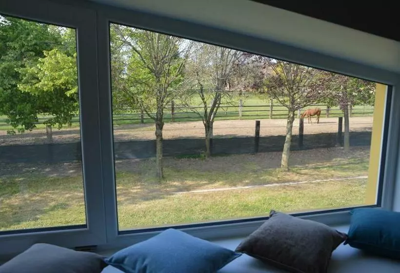 ホテル Agriturismo Castolda