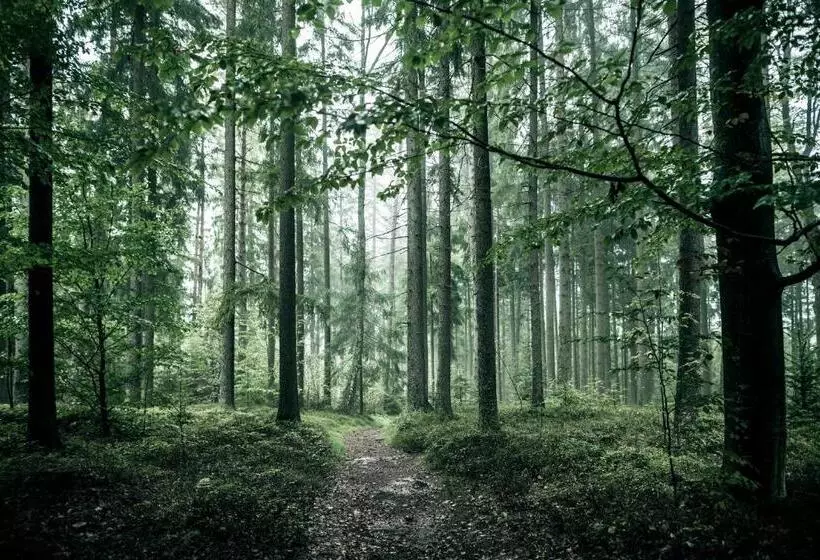 ユースホステル Gasthof Haudum