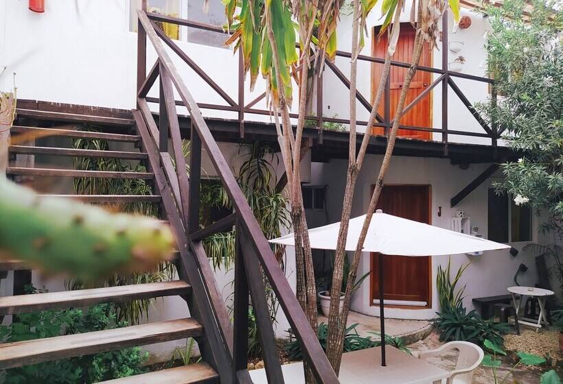 הוסטל Hostal Jardin