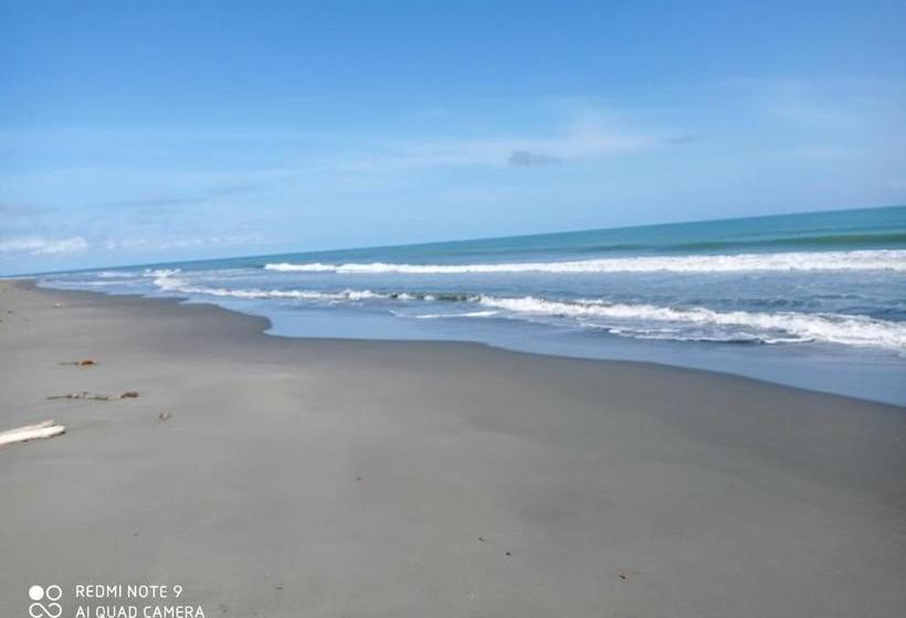 Pension Hostal Belleza Tropical