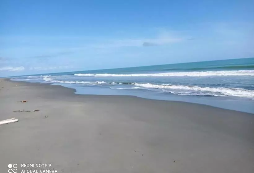 ペンション Hostal Belleza Tropical