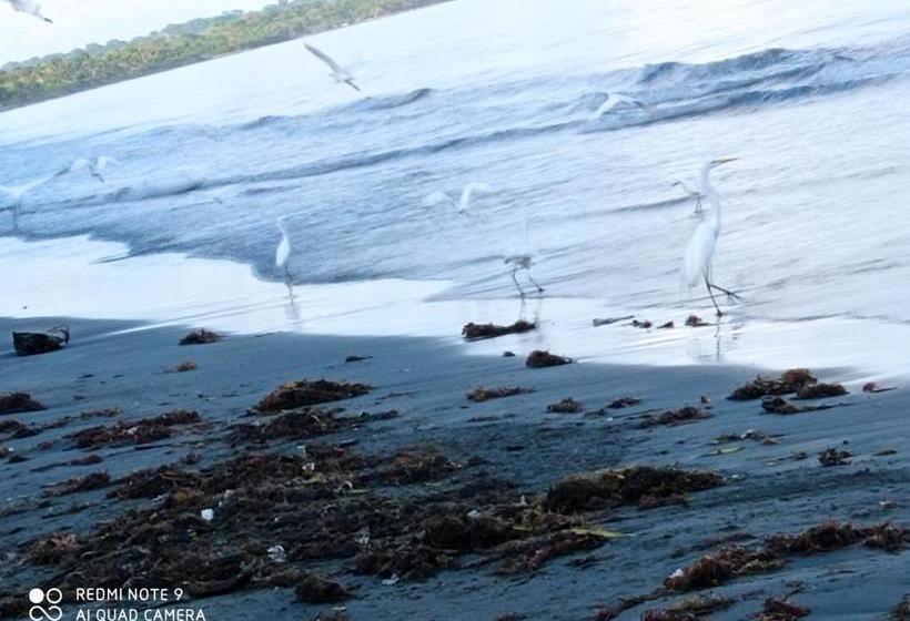 Pension Hostal Belleza Tropical